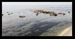 Kefalonia - Kaminia Beach -23-06-2021 - Bogdan Balaban